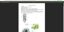 Repaso 2ª evaluación N-I ciencias