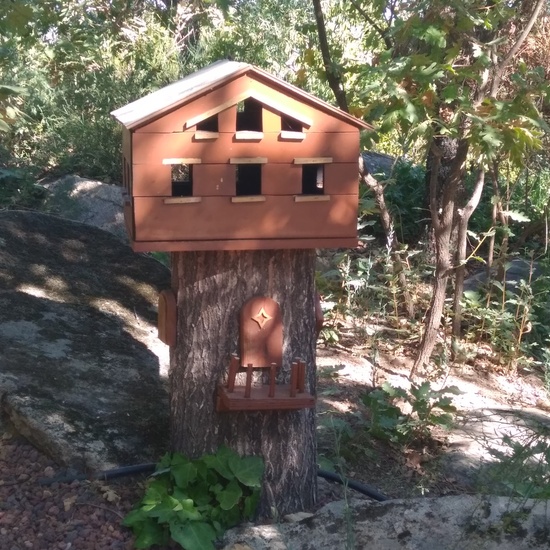 Excursión bosque encantado 13