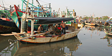 Barcos pesqueros, Jakarta