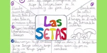 Las setas. Sophia 2º B