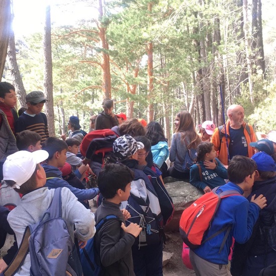 NIÑAS/OS DE 5º. NATURALEZA VIVA EN LA PEDRIZA. HOSTOS POR EL PLANETA 26