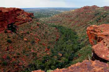 Valle del desfiladero de Kings Cannyon, Australia