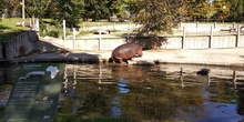 Visita al zoo 2019 25