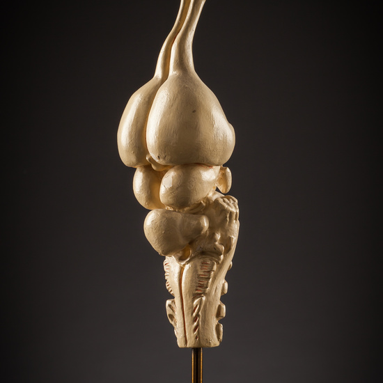 IES_SANISIDRO_BIOLOGIA_173