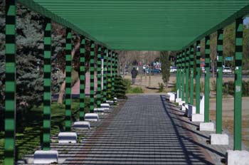 Pérgola en un jardín de Madrid