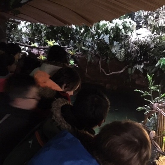 Parque de la Naturaleza. Faunia. 5º Curso. 13