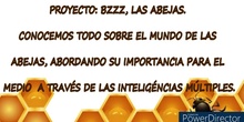 Proyecto Bzzzz:Las abejas