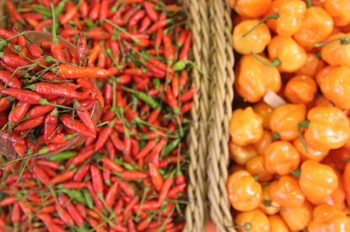 Pimientos del Mercado Municipal de Sao Paulo, Brasil