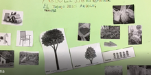 Árboles, arbustos y hierbas. Cristina 2º A
