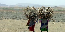Mujeres trabajando, Rep. de Djibouti, áfrica