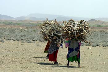 Mujeres trabajando, Rep. de Djibouti, áfrica