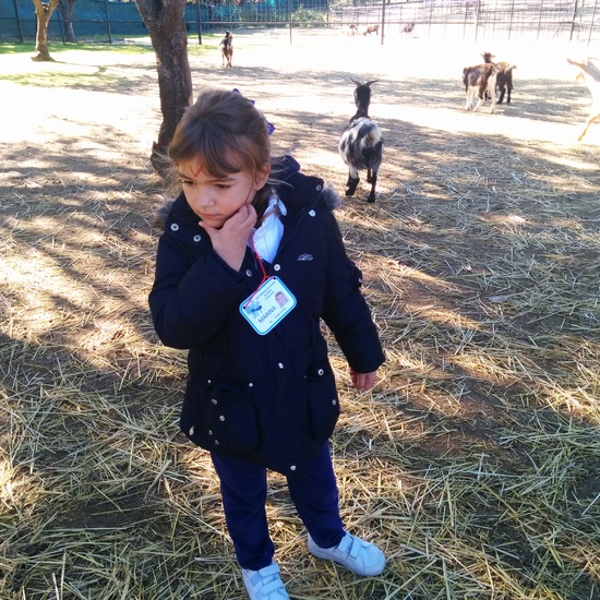 2016_inf 4 años a visita la granja 29