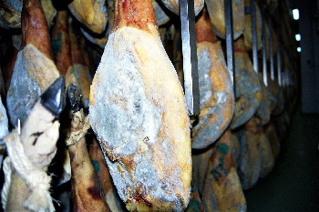 Jamón enmohecido