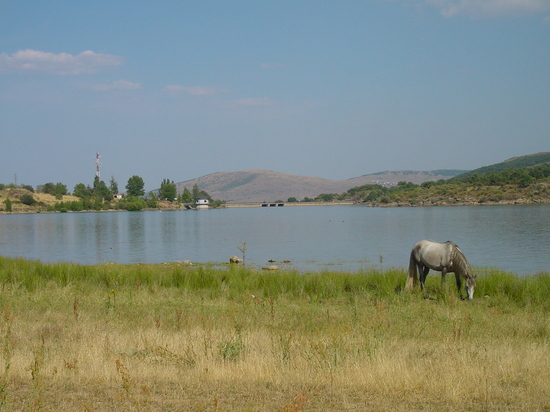 Vista del río Lozoya