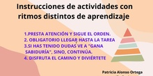 INSTRUCCIONES T5 CANVA