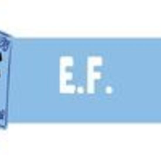 Logo ef