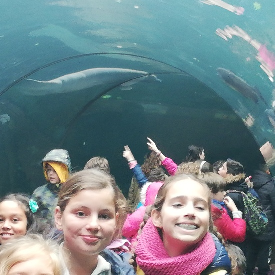 FAUNIA. 5º curso 26