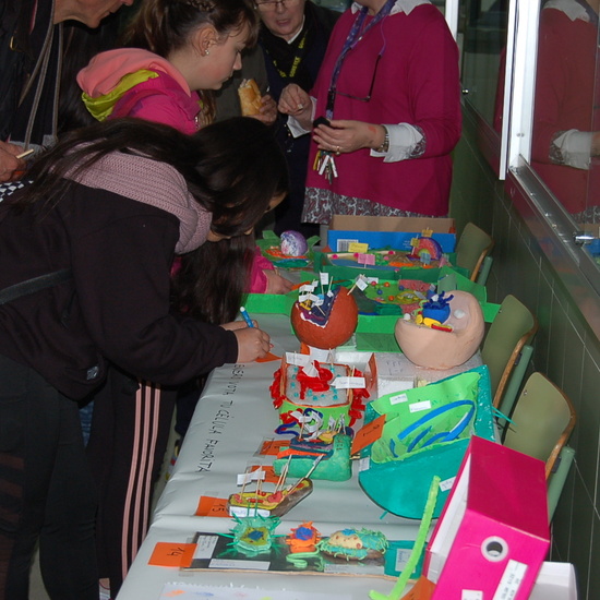 CONCURSO CELULAR 1º ESO 3