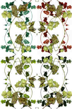 Superposición de ramas en tres colores