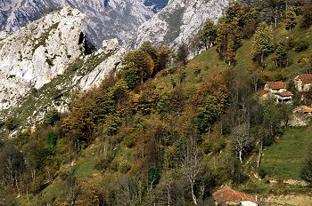 Casas típicas de montaña