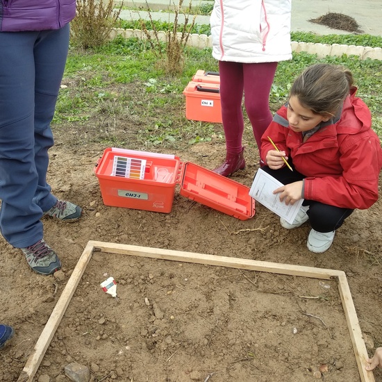 Albergue 5º- 3º día (mañana) 14