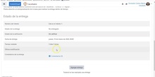 Tutorial entrega de actividad aulavirtual