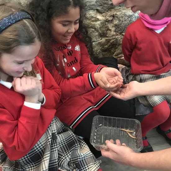 2020_02_27_3º visita Insectpark (4)_CEIP FDLR_Las Rozas 35