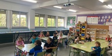 Taller de aves urbanas en 1ºA_CEIP FDLR_Las Rozas