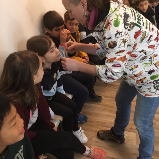 2020_02_27_3º visita Insectpark (1)_CEIP FDLR_Las Rozas 23