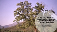APLICACIONES RAICES Y ROBLE