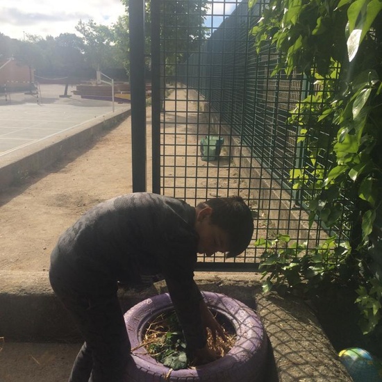 2019_05_Los alumnos de 4º en el Huerto_CEIP FDLR_Las Rozas 39