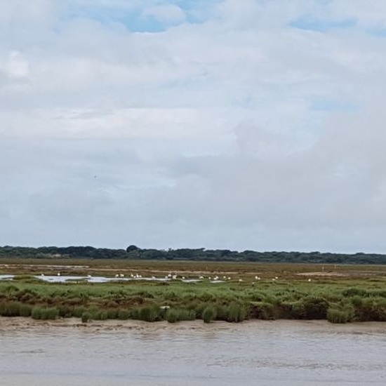 Viaje de fin de curso a Cádiz4º ESO 16