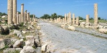Camino con columnas, Umm Qais, Jordania