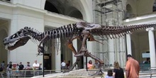 Museo de Historia Natural, Chicago, Estados Unidos
