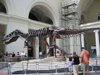 Museo de Historia Natural, Chicago, Estados Unidos