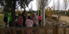 REVOLOTEANDO POR BOSQUE SUR -  3º PRIMARIA (CURSO 19/20) 6