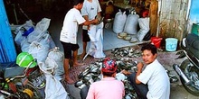 Pescadores de ostras organizando puesto, Sulawesi, Indonesia
