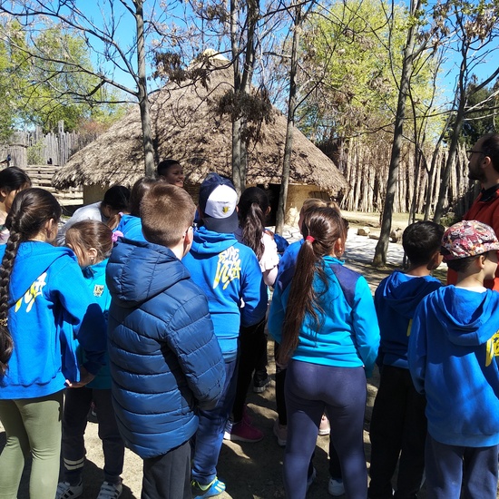 Arqueopinto 4º 19 8