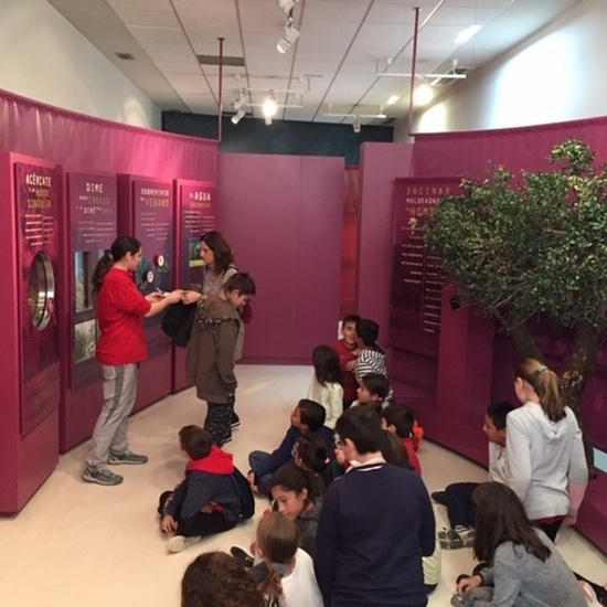 Centro de Interpretación de la Naturaleza. Montecarmelo. 6º curso. 16