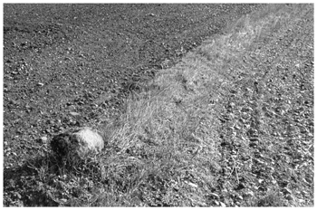 Fotografía artística de la tierra labrada