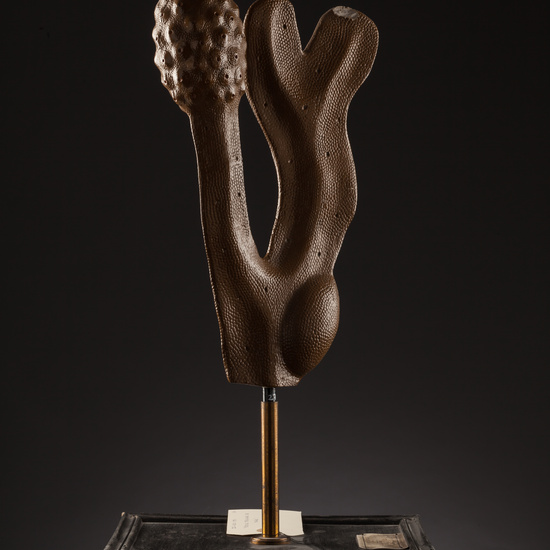 IES_SANISIDRO_BIOLOGIA_162