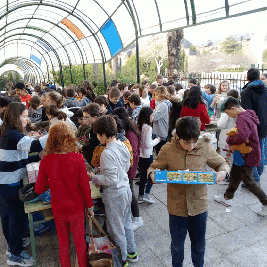 2019_01_30_Mercadillo Solidario 2019_CEIP FDLR_Las Rozas 21