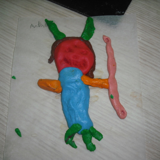 GRANJA PRIMERA PARTE 46