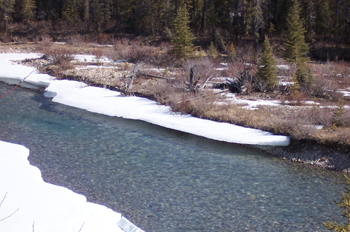 Río Bow, Parque Nacional Banff