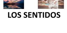 Los sentidos
