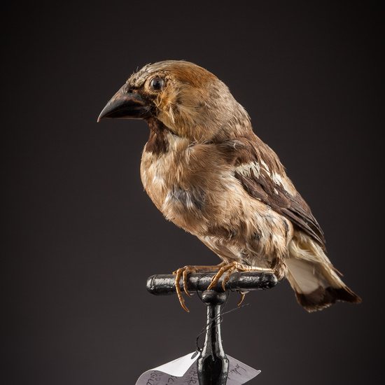 IES_SANISIDRO_BIOLOGIA_441