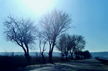 Carretera en invierno