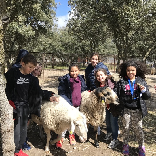 Granja Escuela “El Álamo” 3º y 4º EP_1 41