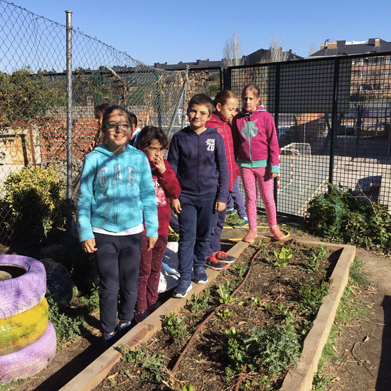 2019_02_08_Cuarto B visita el huerto_CEIP FDLR_Las Rozas 8
