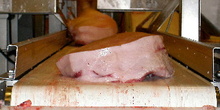 Máquina de procesado de carnes